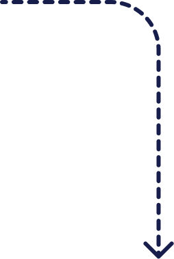 vector29